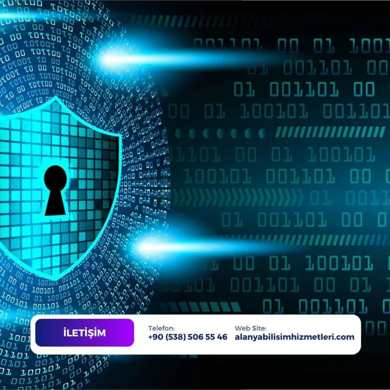Alanya web güvenliği