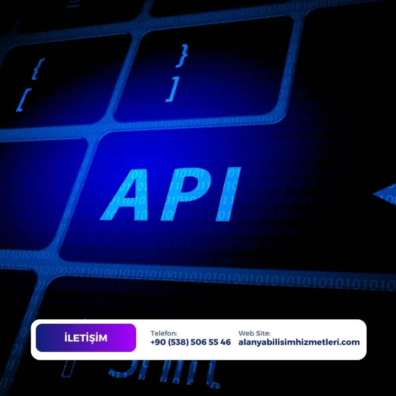 API güvenliği denetimi