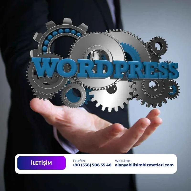 WordPress Tasarım Alanya